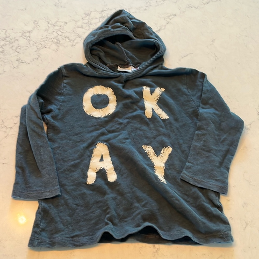 Zara long sleeve hooded shirt